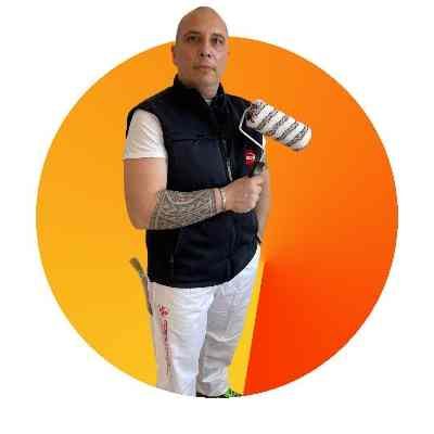 bleurovettinteggiature